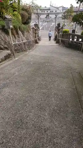 坂井神社の鳥居