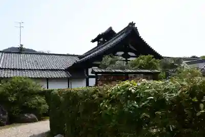 隨心院(随心院)(京都府)