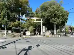 秩父神社(埼玉県)