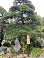宝登山神社の自然