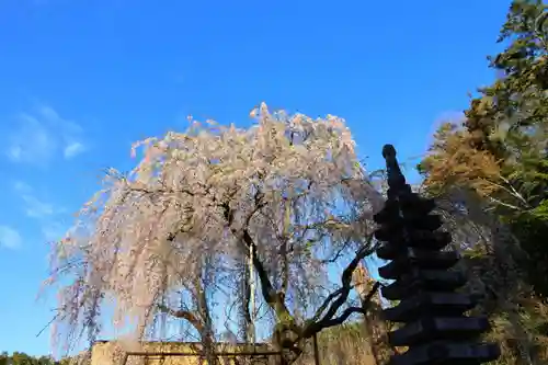 真照寺(福島県)