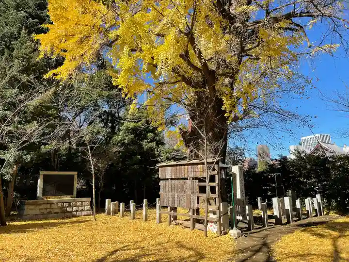 芝東照宮の自然