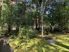 野宮神社の自然