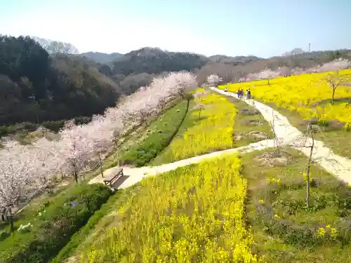 巳徳神社の周辺