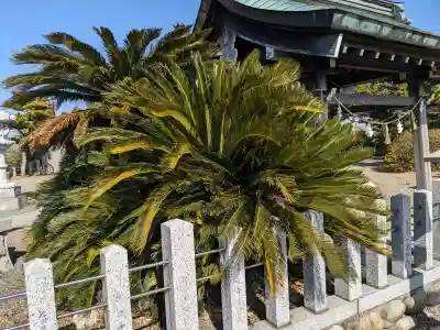 神明社の{uncategorized: "未分類", other: "その他", undefined: "問題あり", building: "その他建物", grave: "お墓", sacred_gate: "鳥居", guardian: "狛犬", statue: "像", buddha: "仏像", history: "歴史", nature: "自然", garden: "庭園", animal: "動物", pagoda: "塔", temizu: "手水舎", mountain_gate: "山門・神門", sanctuary: "本殿・本堂", subordinate: "末社・摂社", art: "芸術", scenery: "景色", jizo: "地蔵", ema: "絵馬", goshuin: "御朱印", omikuji: "おみくじ", items: "授与品その他", amulet: "お守り", goshuincho: "御朱印帳", eats: "食事", festival: "お祭り", votive_dance: "神楽", shichigosan: "七五三参", wedding: "結婚式", experience: "体験その他", initially: "初詣", around: "周辺", anti_infection: "感染症対策"}