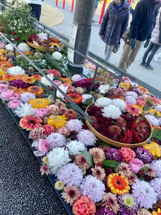 武蔵野坐令和神社の{uncategorized: "未分類", other: "その他", undefined: "問題あり", building: "その他建物", grave: "お墓", sacred_gate: "鳥居", guardian: "狛犬", statue: "像", buddha: "仏像", history: "歴史", nature: "自然", garden: "庭園", animal: "動物", pagoda: "塔", temizu: "手水舎", mountain_gate: "山門・神門", sanctuary: "本殿・本堂", subordinate: "末社・摂社", art: "芸術", scenery: "景色", jizo: "地蔵", ema: "絵馬", goshuin: "御朱印", omikuji: "おみくじ", items: "授与品その他", amulet: "お守り", goshuincho: "御朱印帳", eats: "食事", festival: "お祭り", votive_dance: "神楽", shichigosan: "七五三参", wedding: "結婚式", experience: "体験その他", initially: "初詣", around: "周辺", anti_infection: "感染症対策"}