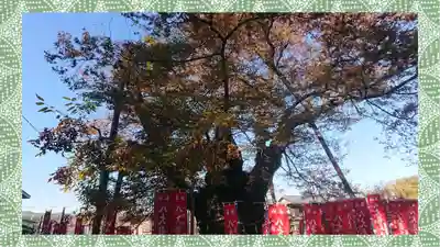 秩父今宮神社(埼玉県)