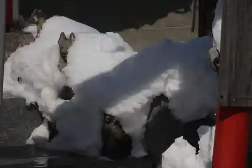 大鏑神社の末社・摂社