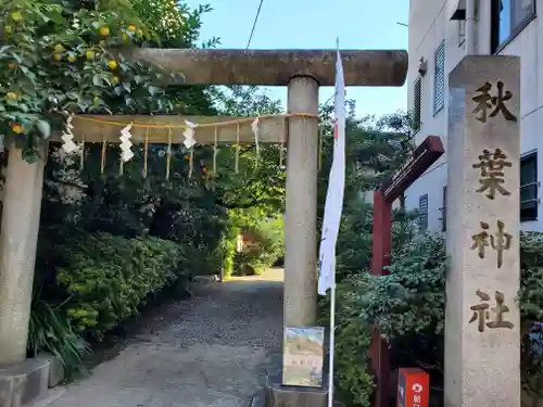 秋葉神社の鳥居