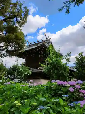 白山神社(東京都)