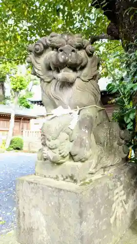 鳩ヶ谷氷川神社の狛犬