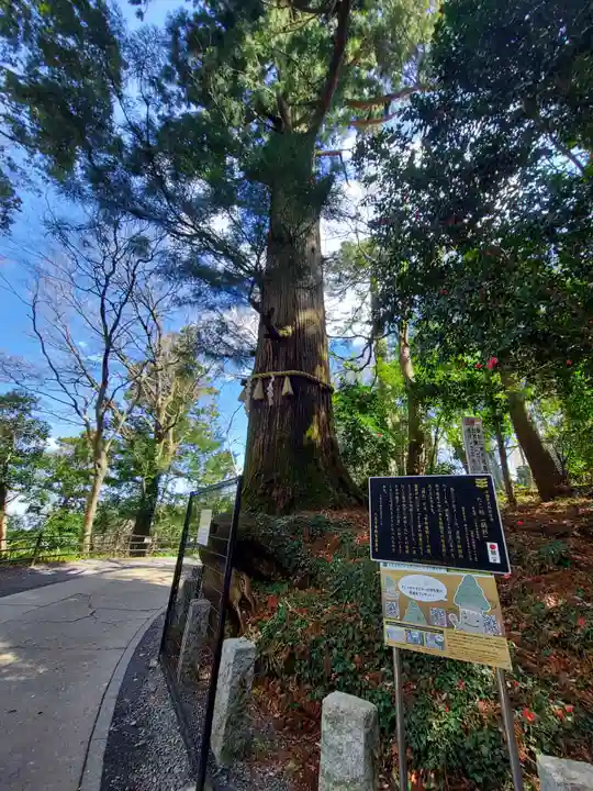 高尾山薬王院の自然