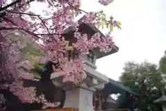 新宿下落合氷川神社の自然