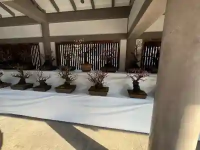 湯島天満宮の{uncategorized: "未分類", other: "その他", undefined: "問題あり", building: "その他建物", grave: "お墓", sacred_gate: "鳥居", guardian: "狛犬", statue: "像", buddha: "仏像", history: "歴史", nature: "自然", garden: "庭園", animal: "動物", pagoda: "塔", temizu: "手水舎", mountain_gate: "山門・神門", sanctuary: "本殿・本堂", subordinate: "末社・摂社", art: "芸術", scenery: "景色", jizo: "地蔵", ema: "絵馬", goshuin: "御朱印", omikuji: "おみくじ", items: "授与品その他", amulet: "お守り", goshuincho: "御朱印帳", eats: "食事", festival: "お祭り", votive_dance: "神楽", shichigosan: "七五三参", wedding: "結婚式", experience: "体験その他", initially: "初詣", around: "周辺", anti_infection: "感染症対策"}