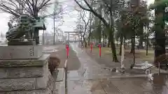 神明社の狛犬