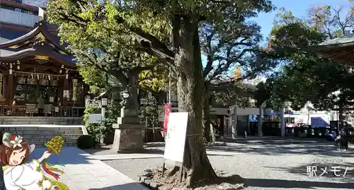 大鳥神社の自然