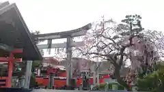 車折神社の鳥居