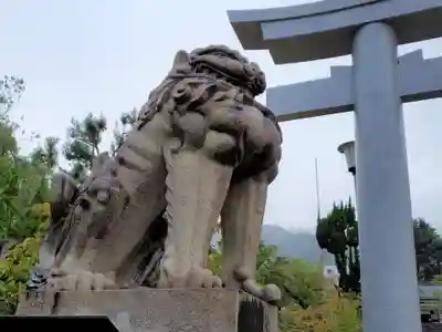 兵庫縣神戸護國神社の狛犬