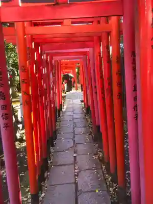 乙女稲荷神社千本鳥居。外国人観光客に大人気でした