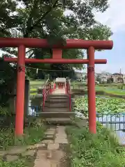 出世弁財天女宮の鳥居