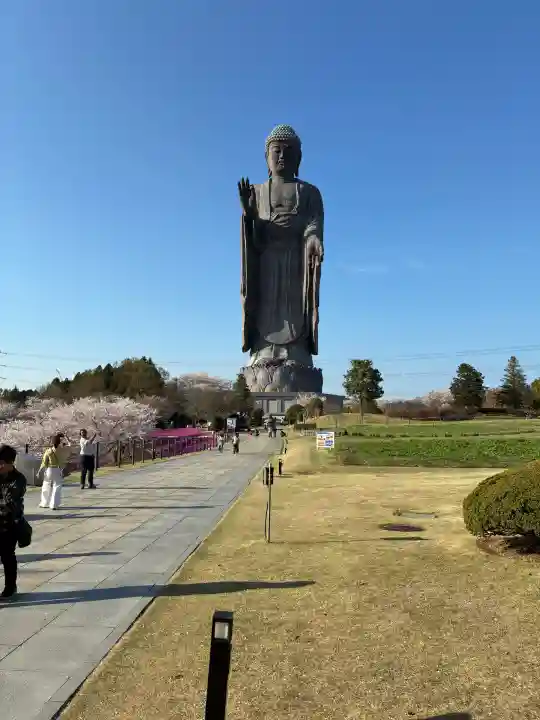 東本願寺本廟 牛久浄苑(牛久大仏)の{uncategorized: "未分類", other: "その他", undefined: "問題あり", building: "その他建物", grave: "お墓", sacred_gate: "鳥居", guardian: "狛犬", statue: "像", buddha: "仏像", history: "歴史", nature: "自然", garden: "庭園", animal: "動物", pagoda: "塔", temizu: "手水舎", mountain_gate: "山門・神門", sanctuary: "本殿・本堂", subordinate: "末社・摂社", art: "芸術", scenery: "景色", jizo: "地蔵", ema: "絵馬", goshuin: "御朱印", omikuji: "おみくじ", items: "授与品その他", amulet: "お守り", goshuincho: "御朱印帳", eats: "食事", festival: "お祭り", votive_dance: "神楽", shichigosan: "七五三参", wedding: "結婚式", experience: "体験その他", initially: "初詣", around: "周辺", anti_infection: "感染症対策"}