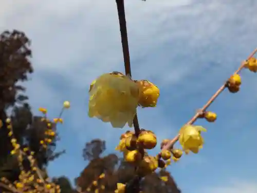 沙沙貴神社のその他建物