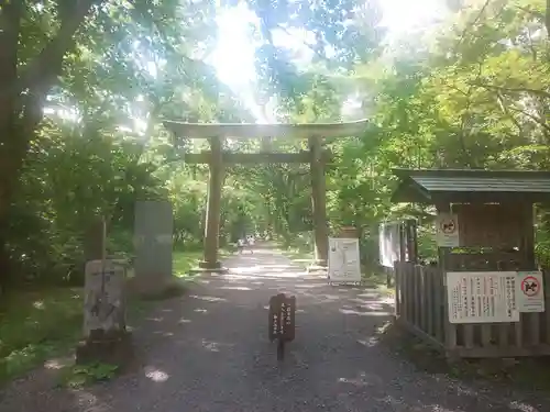 戸隠神社九頭龍社の鳥居