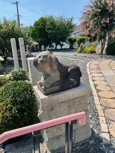 東大禅寺の狛犬