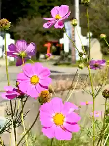 蚊里田八幡宮(長野県)(2025年10月08日(水) 11時54分12秒投稿)