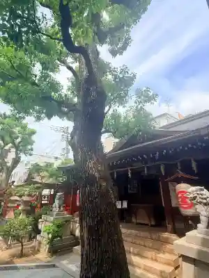 金刀比羅宮神戸分社(兵庫県)