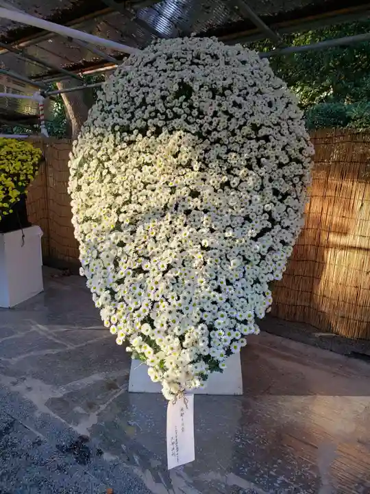 明治神宮(東京都)