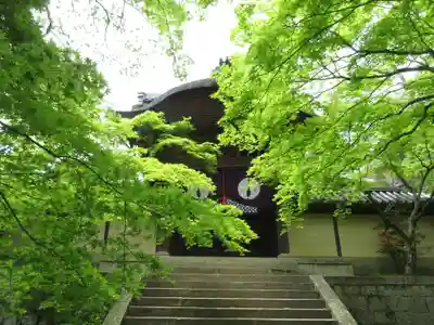 光明寺（粟生光明寺）の本殿・本堂