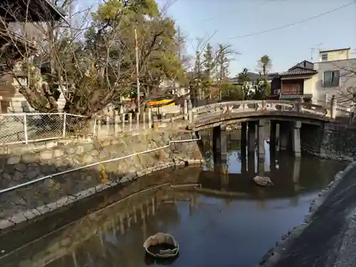 笠覆寺 (笠寺観音)の自然