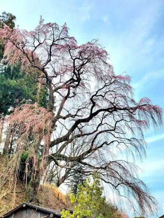 福聚寺(福島県)