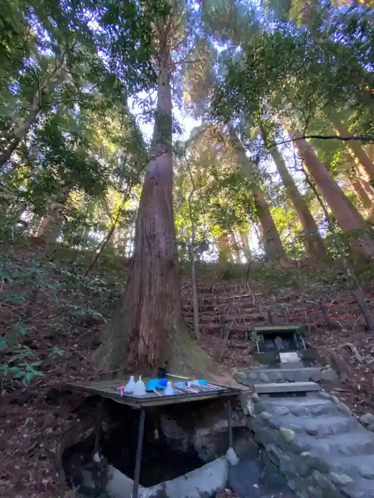 天岩戸神社(宮崎県)