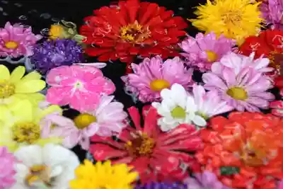 大鏑神社の手水舎