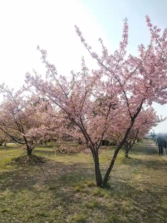 大己貴神社の自然