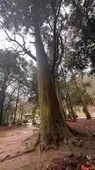 八幡神社(兵庫県)