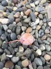 大宮神社の自然