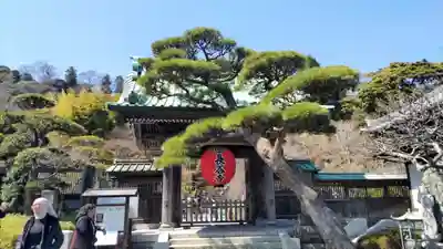 長谷寺の山門・神門
