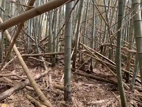 八幡神社の周辺