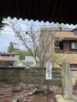 神炊館神社 ⁂奥州須賀川総鎮守⁂(福島県)