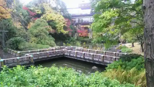 東郷神社の庭園