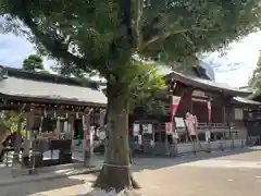 鳩森八幡神社(東京都)