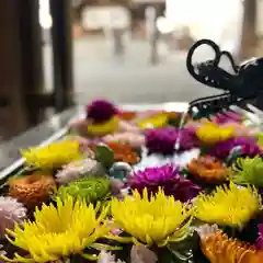 札幌諏訪神社の手水