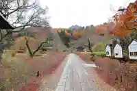 中禅寺(長野県)