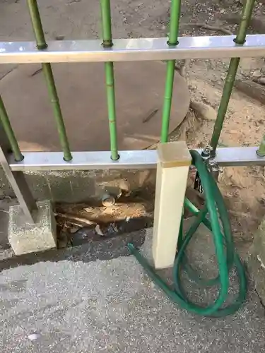 五社稲荷社の手水舎