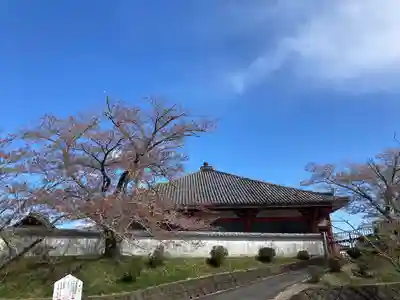 宝持院の本殿・本堂