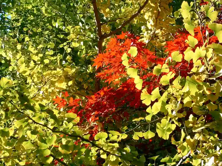 本土寺(千葉県)