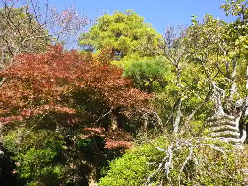 浄光明寺の自然
